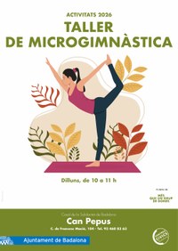 Taller de Microgimnàstica