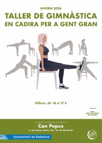 Taller de Gimnàstica en Cadira per a Gent Gran