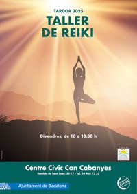 Taller de Reiki