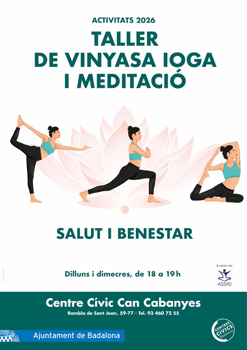 Taller de Vinyasa Flow