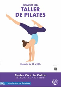 Taller de Pilates