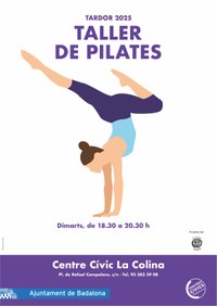 Taller de Pilates