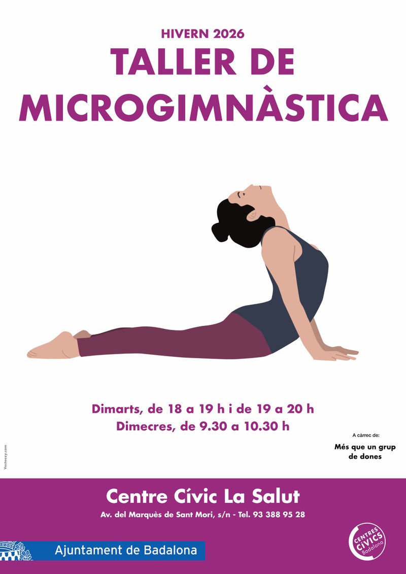 Taller de Microgimnàstica