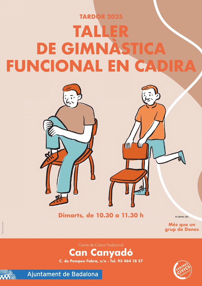 Taller de Gimnàstica Funcional en Cadira