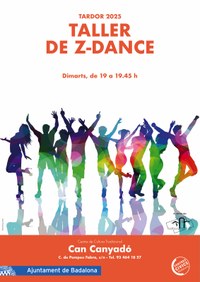 Taller de Z-Dance